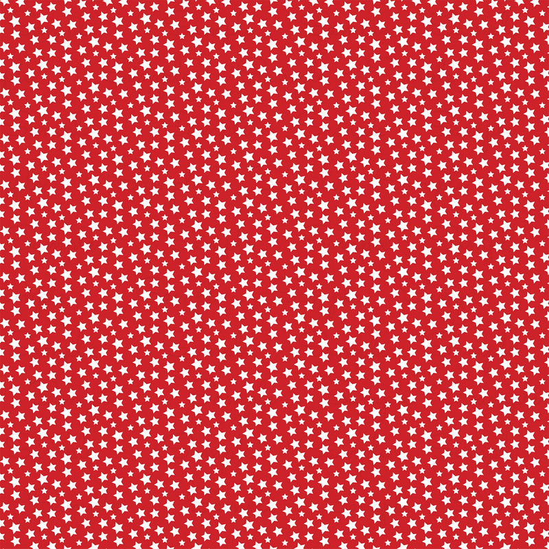 Summer Song Pattern Vinyl BR189-3