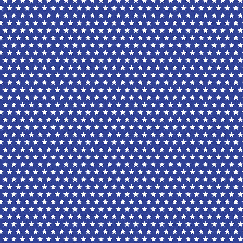 Summer Song Pattern Vinyl BR189-3