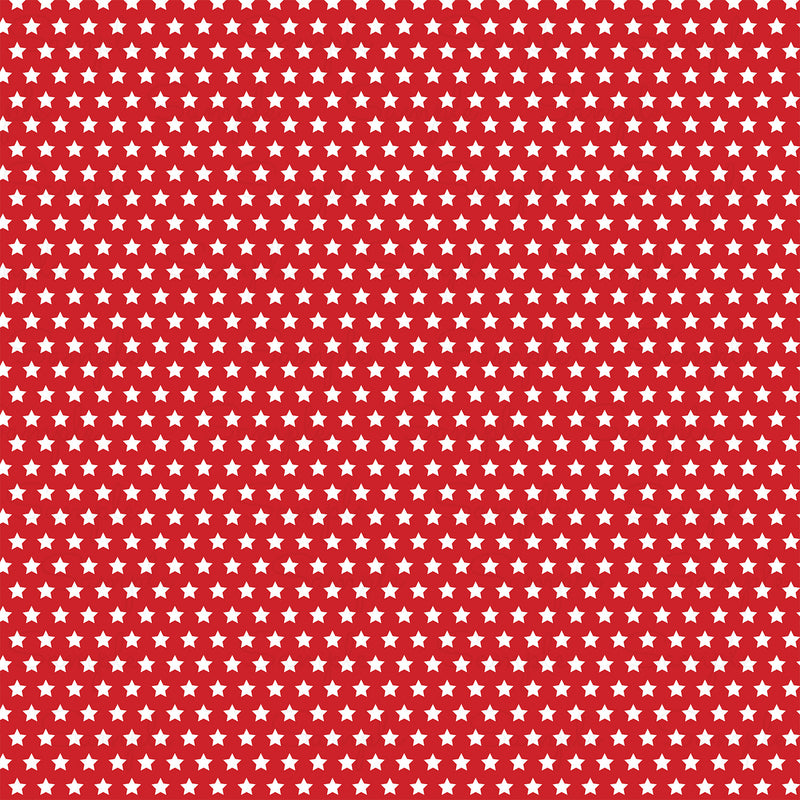 Summer Song Pattern Vinyl BR189-3